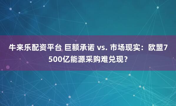 牛来乐配资平台 巨额承诺 vs. 市场现实：欧盟7500亿能源采购难兑现？