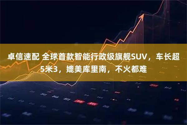 卓信速配 全球首款智能行政级旗舰SUV，车长超5米3，媲美库里南，不火都难