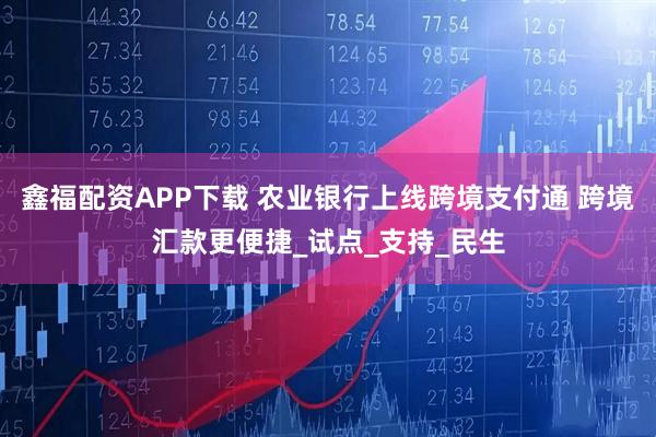鑫福配资APP下载 农业银行上线跨境支付通 跨境汇款更便捷_试点_支持_民生