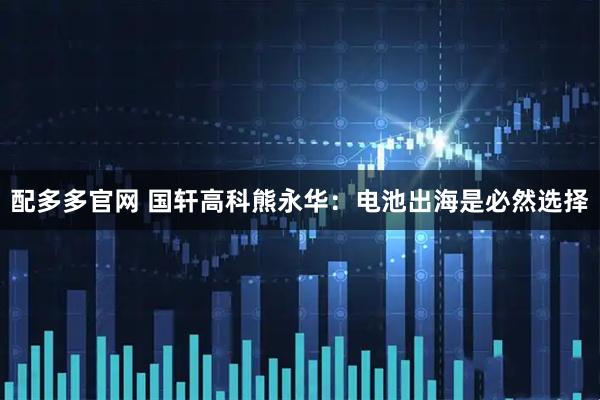 配多多官网 国轩高科熊永华：电池出海是必然选择